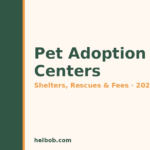 Best Pet Adoption Centers in Phoenix, AZ (2026): Shelters, Rescues, Fees & What to Expect