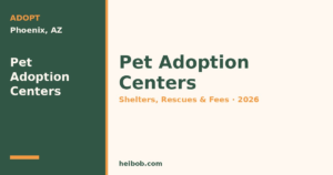 Best Pet Adoption Centers in Phoenix, AZ (2026): Shelters, Rescues, Fees & What to Expect