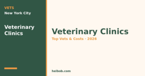 Best Veterinary Clinics in New York City, NY (2026): Top Vets, Costs & What to Expect