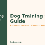 How Much Does Dog Training Cost? (2026): Classes, Private Lessons & Board-and-Train Prices
