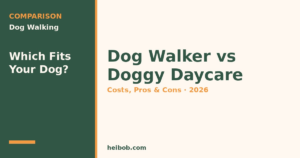 Dog Walker vs Doggy Daycare (2026): Costs, Pros & Cons & How to Choose