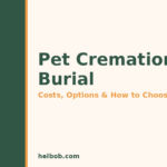 Pet Cremation vs Burial (2026): Costs, Options & How to Choose