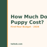 How Much Does a Puppy Cost? First-Year Puppy Costs (2026): Vet Bills, Food, Training & Supplies